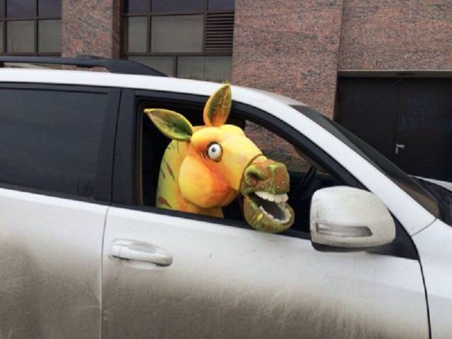 daily picdump 95 pics 12.html - 95 HD Photos | Premium Gallery 2017