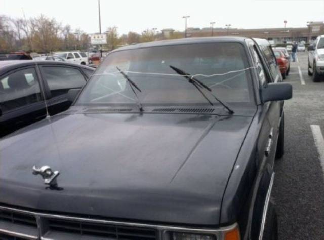 daily picdump 95 pics 12.html - 95 HD Photos | Premium Gallery 2017