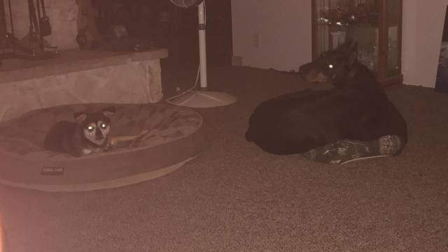 daily picdump 95 pics 12.html - 95 HD Photos | Premium Gallery 2017