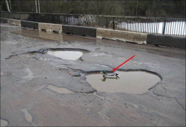 daily picdump 95 pics 12.html - 95 HD Photos | Premium Gallery 2017