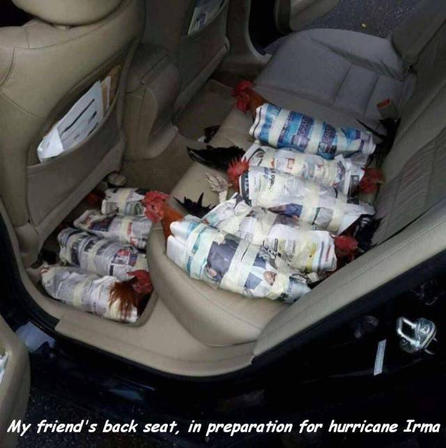 daily picdump 95 pics 12.html - 95 HD Photos | Premium Gallery 2017