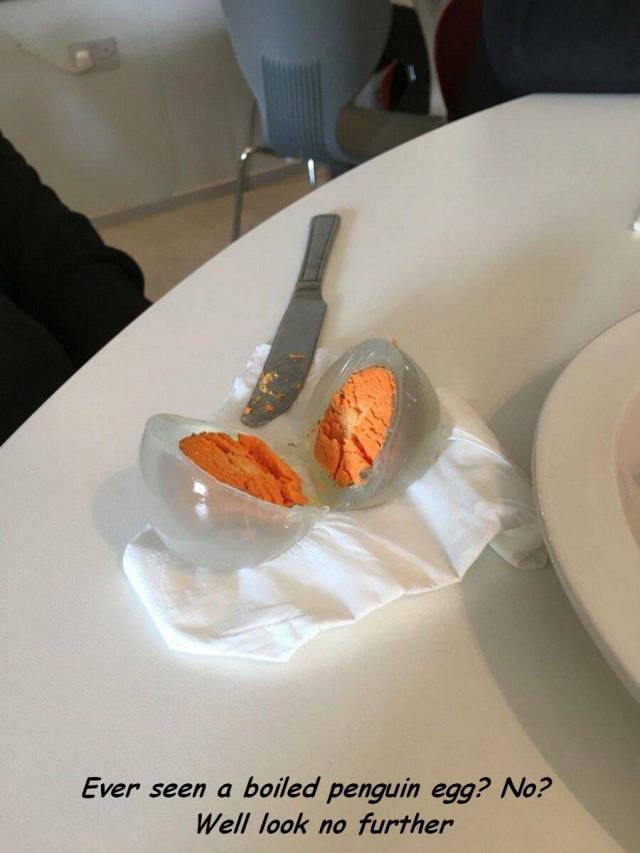 daily picdump 95 pics 12.html - 95 HD Photos | Premium Gallery 2017