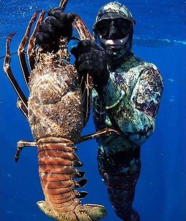 daily picdump 95 pics 12.html - 95 HD Photos | Premium Gallery 2017