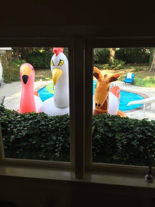 daily picdump 95 pics 12.html - 95 HD Photos | Premium Gallery 2017