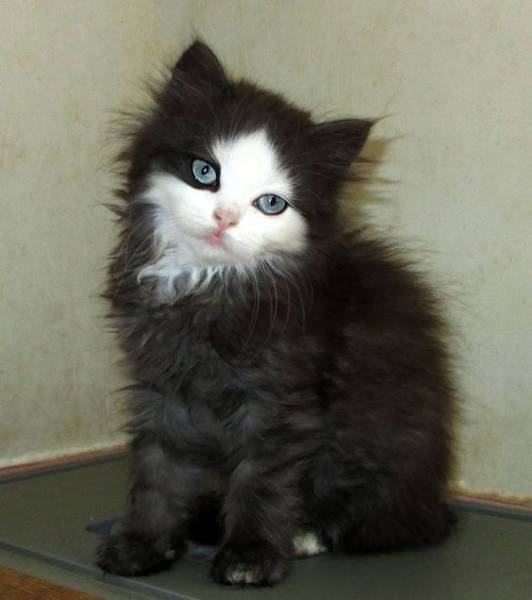 morning picdump 51 pics 8.html - 51 HD Photos | Premium Gallery 2017