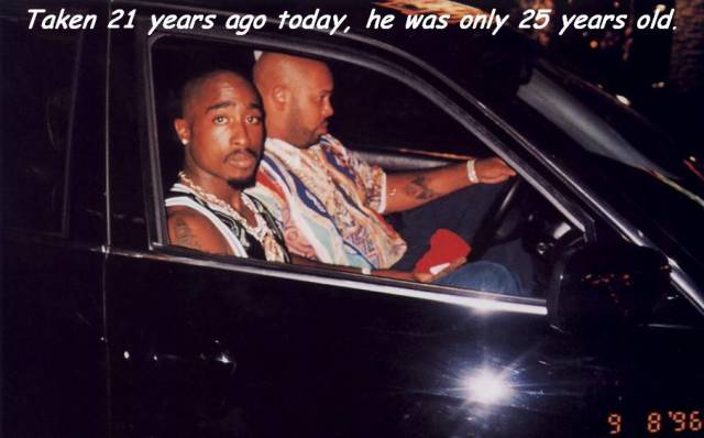 daily picdump 93 pics 1.html - 93 HD Photos | Premium Gallery 2017