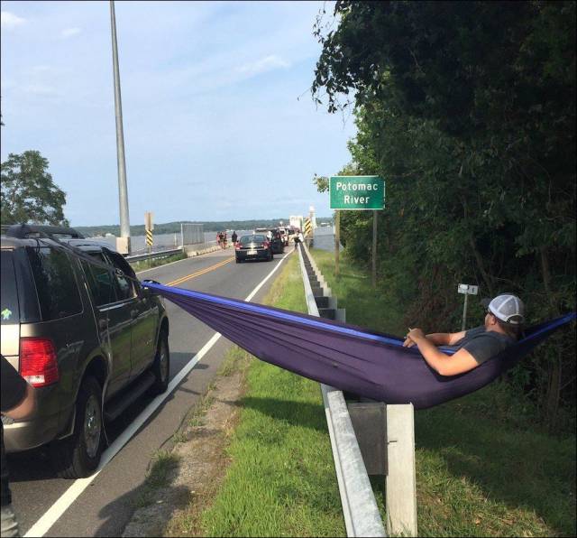 daily picdump 93 pics 1.html - 93 HD Photos | Premium Gallery 2017