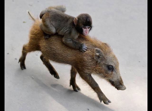 daily picdump 93 pics 1.html - 93 HD Photos | Premium Gallery 2017