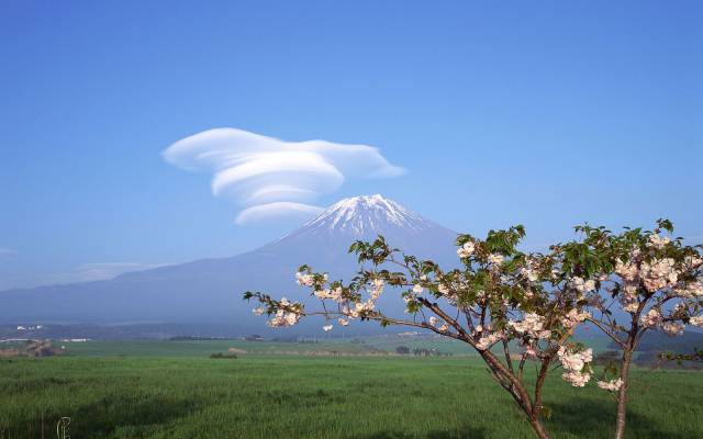 daily picdump 93 pics 1.html - 93 HD Photos | Premium Gallery 2017