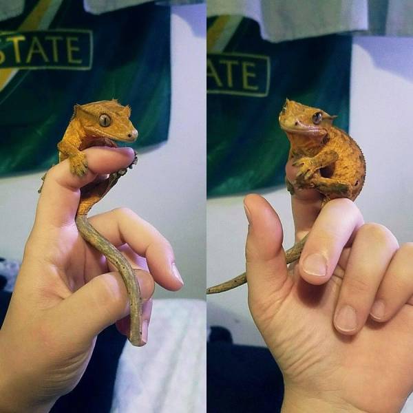 daily picdump 93 pics 1.html - 93 HD Photos | Premium Gallery 2017