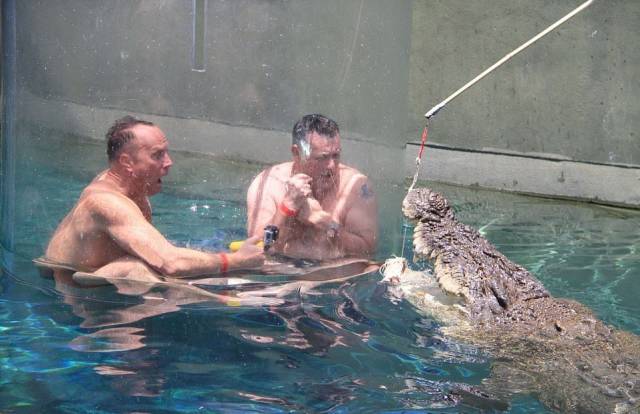 daily picdump 93 pics 1.html - 93 HD Photos | Premium Gallery 2017