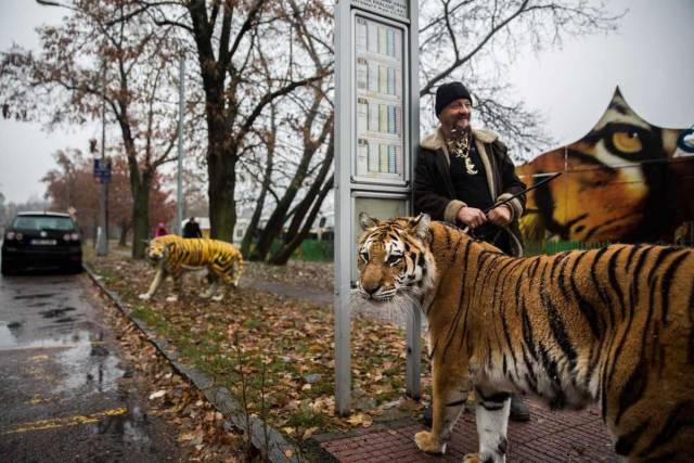 daily picdump 93 pics 1.html - 93 HD Photos | Premium Gallery 2017