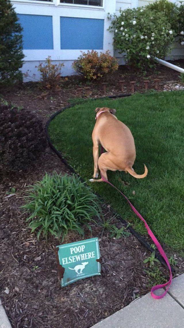 daily picdump 93 pics 1.html - 93 HD Photos | Premium Gallery 2017