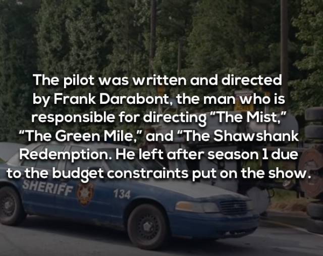 Not Brain-Dead Facts About “The Walking Dead”