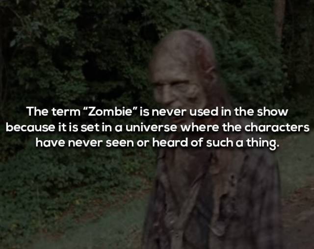 Not Brain-Dead Facts About “The Walking Dead”