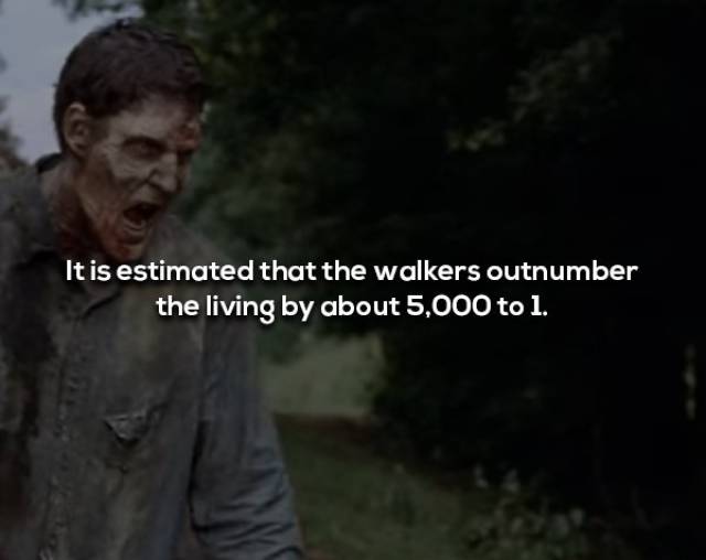 Not Brain-Dead Facts About “The Walking Dead”