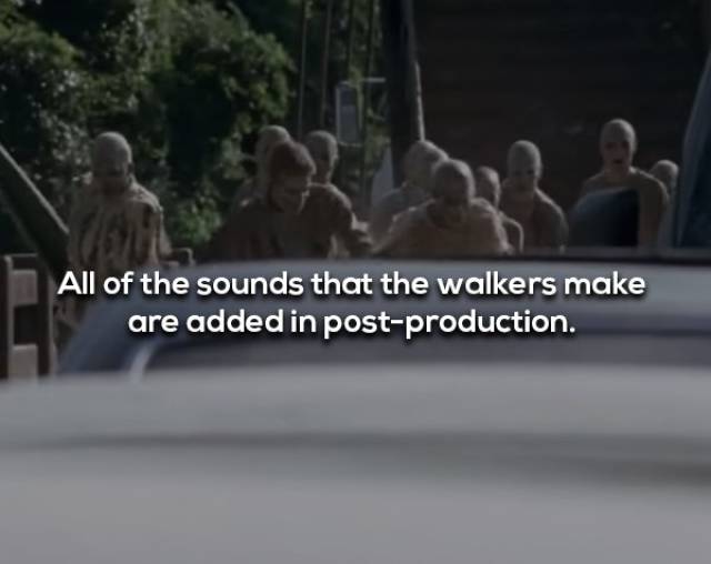 Not Brain-Dead Facts About “The Walking Dead”