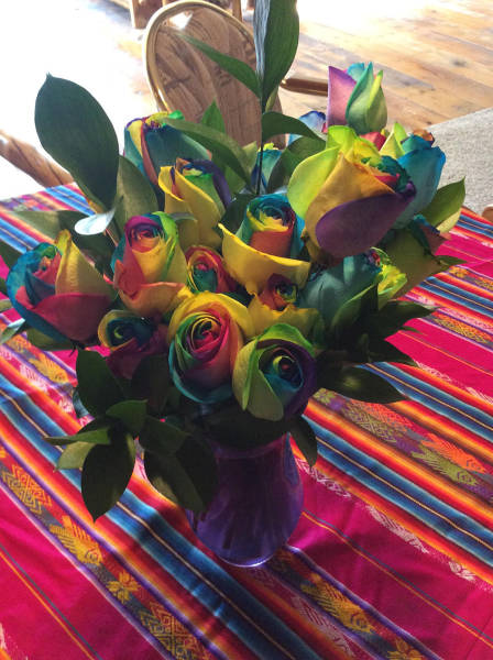 daily picdump 83 pics 1.html - 83 HD Photos | Premium Gallery 2017