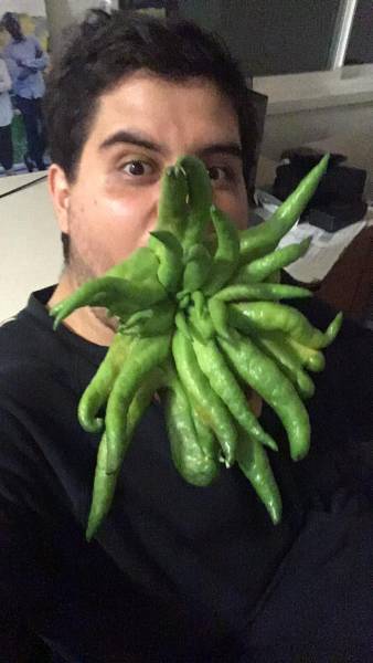 daily picdump 83 pics 1.html - 83 HD Photos | Premium Gallery 2017