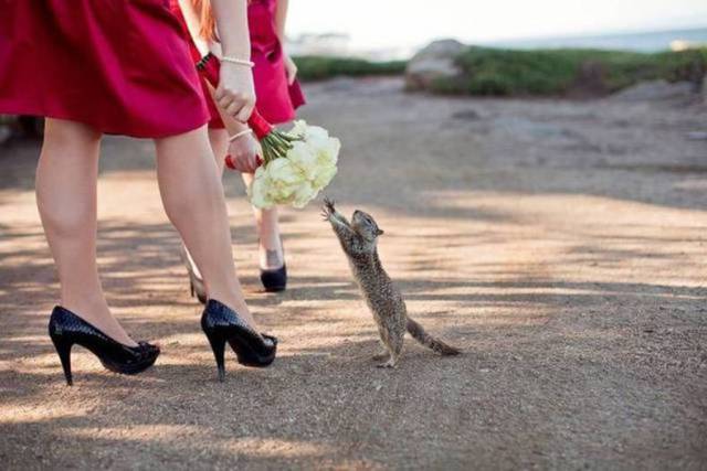 daily picdump 84 pics 22.html - 84 HD Photos | Premium Gallery 2017