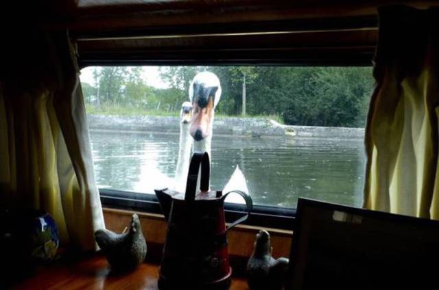 daily picdump 84 pics 22.html - 84 HD Photos | Premium Gallery 2017