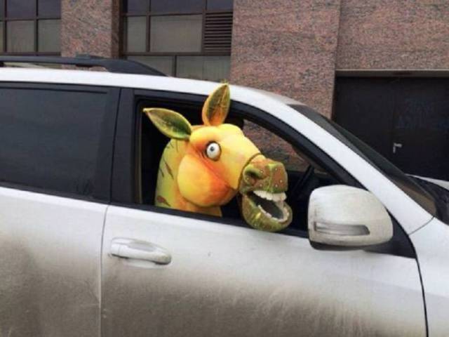 daily picdump 84 pics 22.html - 84 HD Photos | Premium Gallery 2017