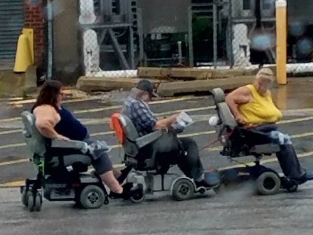 daily picdump 84 pics 22.html - 84 HD Photos | Premium Gallery 2017