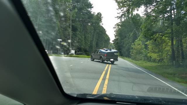 daily picdump 84 pics 22.html - 84 HD Photos | Premium Gallery 2017