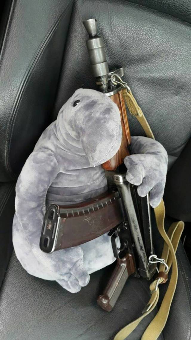 daily picdump 84 pics 22.html - 84 HD Photos | Premium Gallery 2017