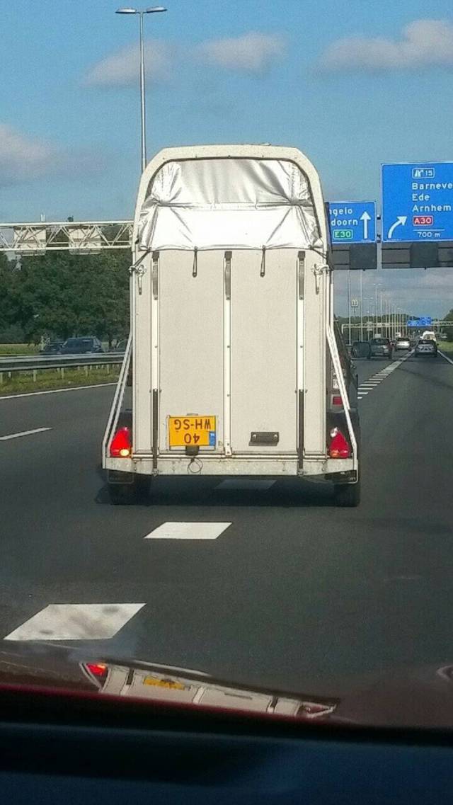 daily picdump 84 pics 22.html - 84 HD Photos | Premium Gallery 2017