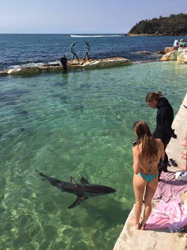 daily picdump 84 pics 22.html - 84 HD Photos | Premium Gallery 2017