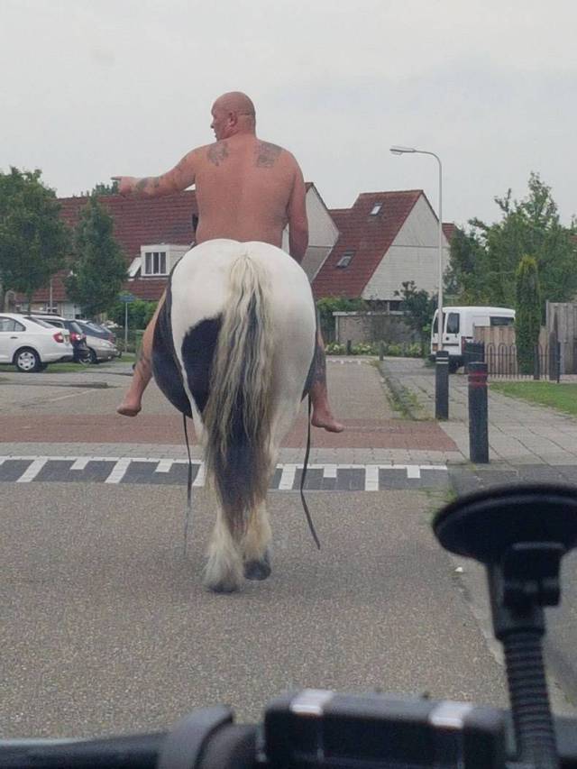 daily picdump 84 pics 22.html - 84 HD Photos | Premium Gallery 2017