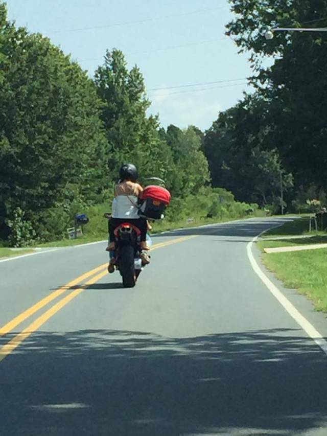 daily picdump 84 pics 22.html - 84 HD Photos | Premium Gallery 2017