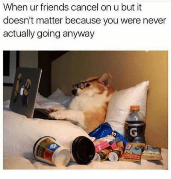 Memes About Becoming An Adult Never Grow Old