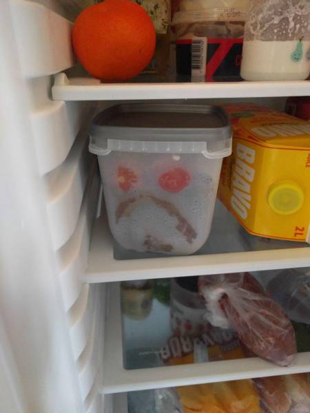 morning picdump 50 pics 17.html - 50 HD Photos | Premium Gallery 2017