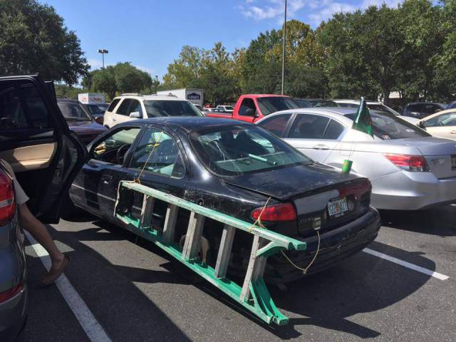 morning picdump 50 pics 17.html - 50 HD Photos | Premium Gallery 2017