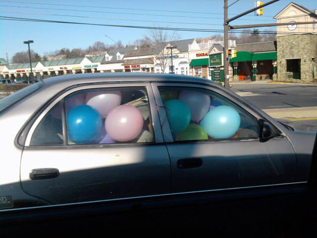 morning picdump 50 pics 17.html - 50 HD Photos | Premium Gallery 2017