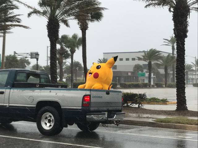 morning picdump 50 pics 17.html - 50 HD Photos | Premium Gallery 2017