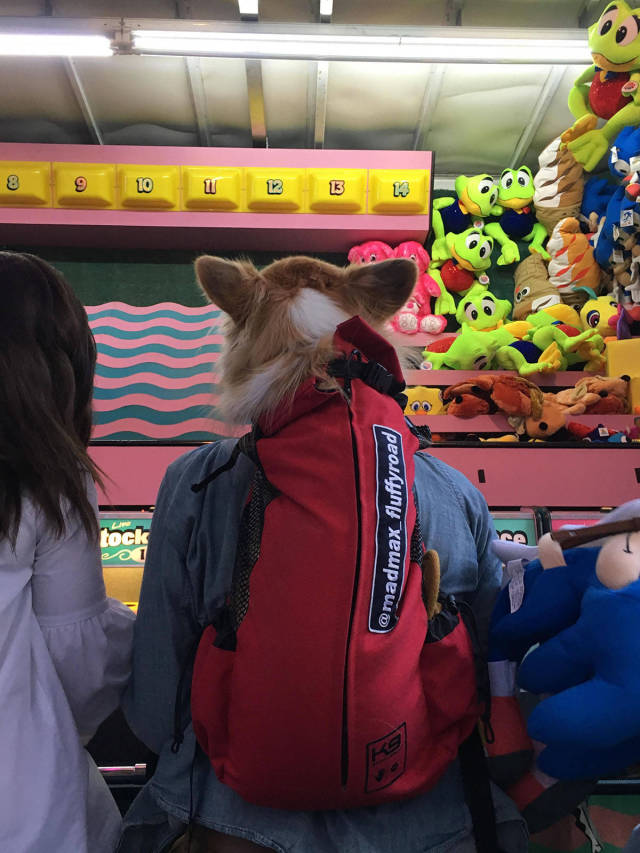 morning picdump 50 pics 17.html - 50 HD Photos | Premium Gallery 2017