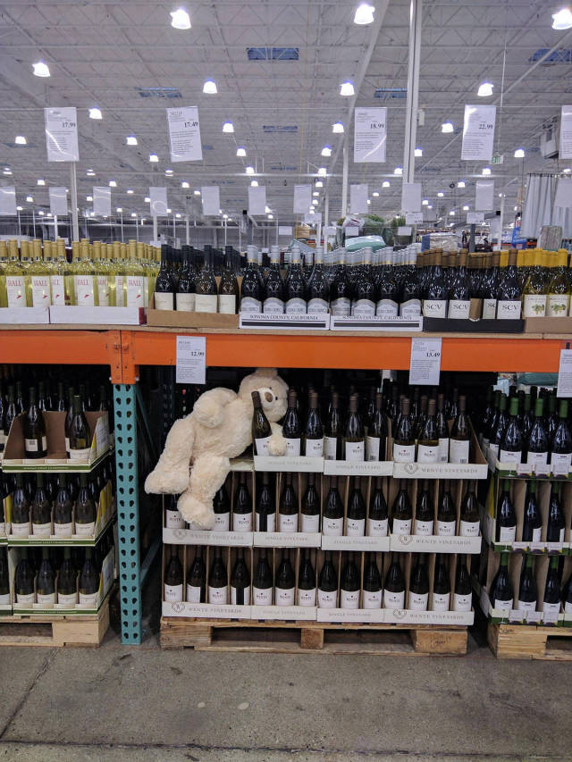 morning picdump 50 pics 17.html - 50 HD Photos | Premium Gallery 2017