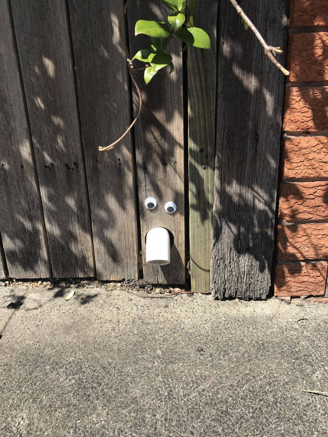 morning picdump 50 pics 17.html - 50 HD Photos | Premium Gallery 2017