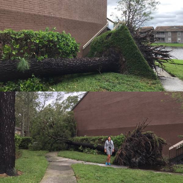 daily picdump 84 pics 4.html - 84 HD Photos | Premium Gallery 2017