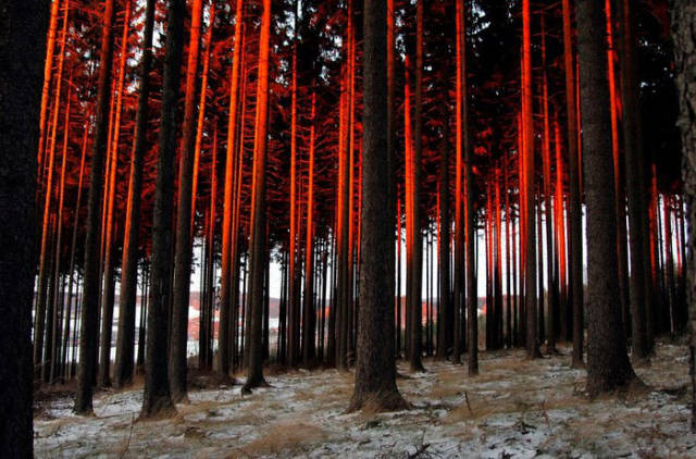 daily picdump 84 pics 4.html - 84 HD Photos | Premium Gallery 2017