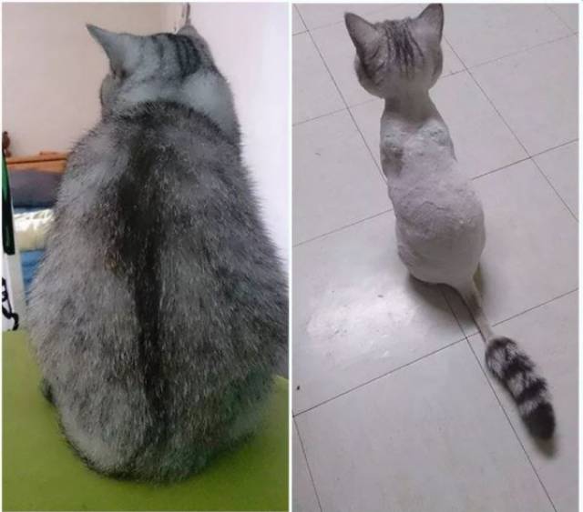 daily picdump 84 pics 4.html - 84 HD Photos | Premium Gallery 2017