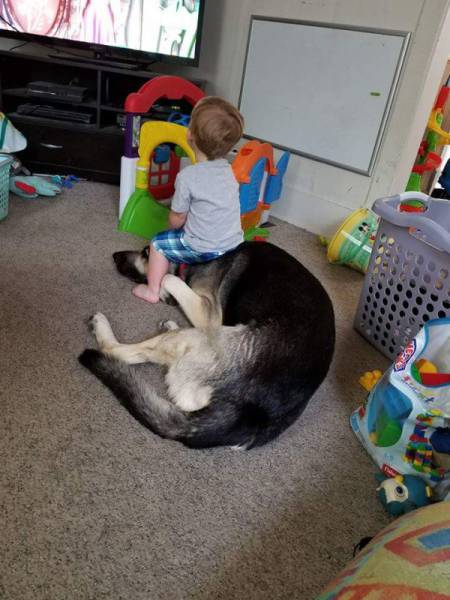 daily picdump 84 pics 4.html - 84 HD Photos | Premium Gallery 2017