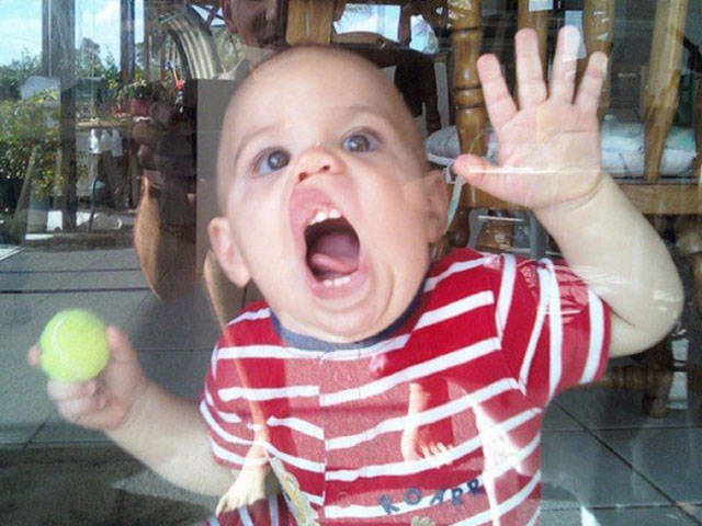 daily picdump 84 pics 4.html - 84 HD Photos | Premium Gallery 2017