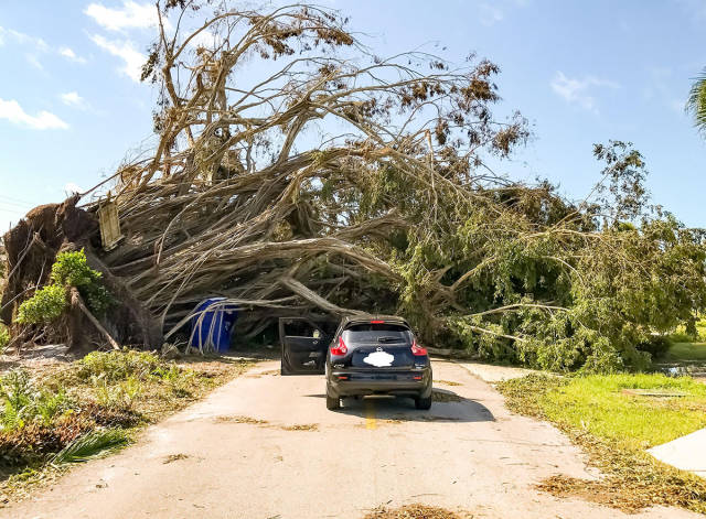 daily picdump 84 pics 4.html - 84 HD Photos | Premium Gallery 2017