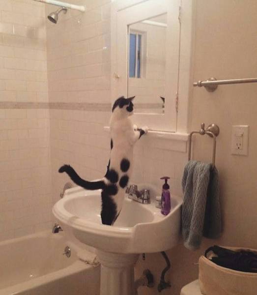 morning picdump 52 pics 17.html - 52 HD Photos | Premium Gallery 2017