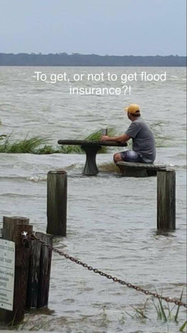 morning picdump 52 pics 17.html - 52 HD Photos | Premium Gallery 2017