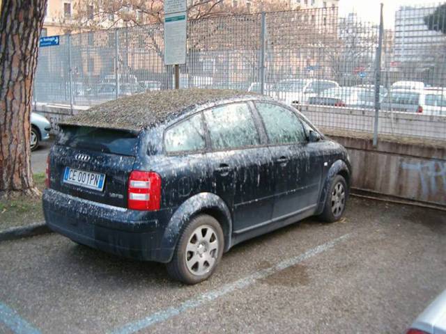 daily picdump 83 pics 30.html - 83 HD Photos | Premium Gallery 2017